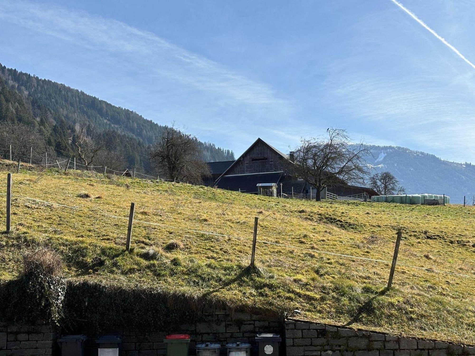 Moderne-Ferienwohnung-Nur-1Km-Vom-Millstaetter-See-In-Kaernten-Entfernt Millstatt Buitenkant foto