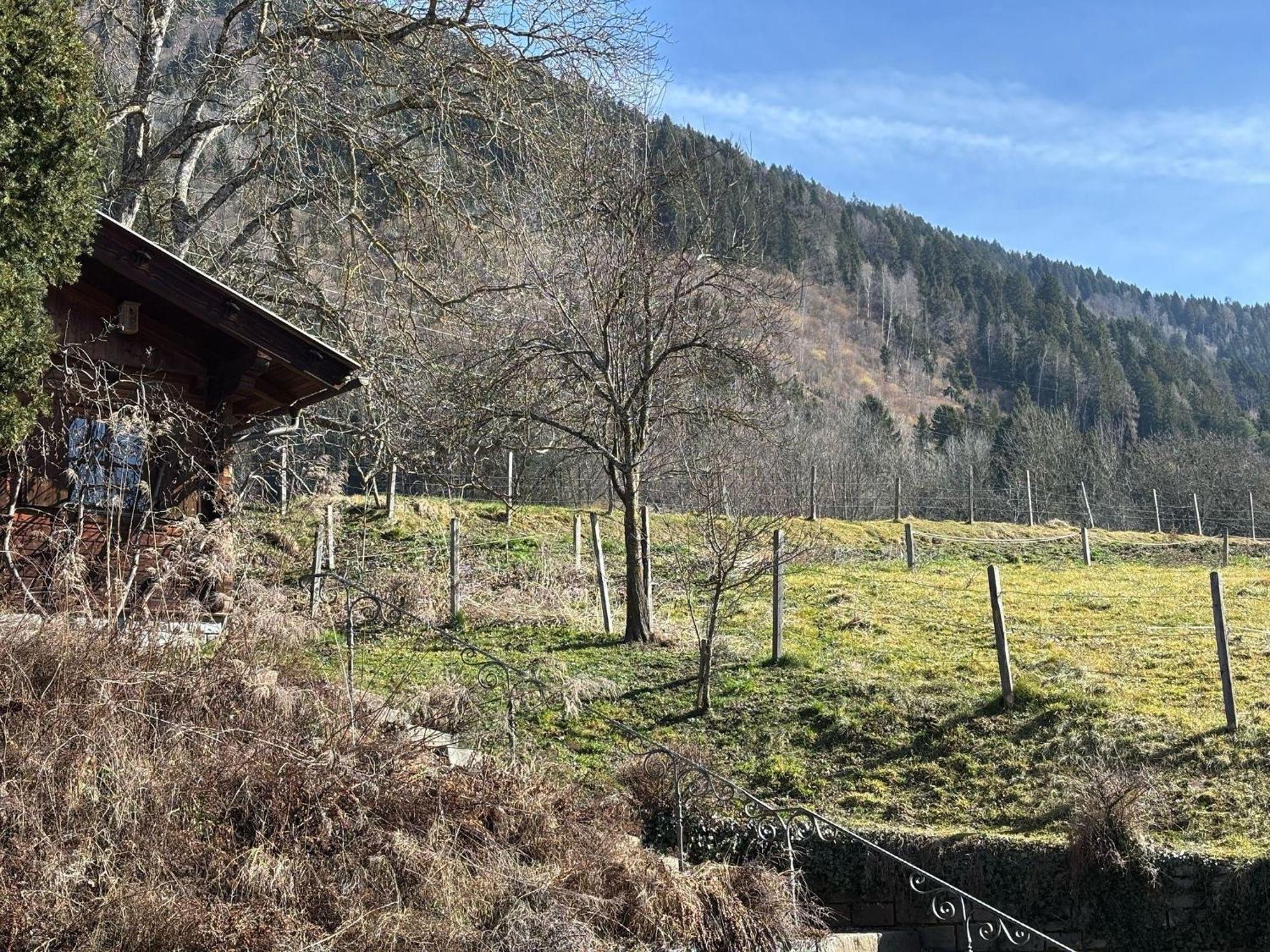 Moderne-Ferienwohnung-Nur-1Km-Vom-Millstaetter-See-In-Kaernten-Entfernt Millstatt Buitenkant foto